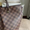 Louis Vuitton Damier Ebene Siena MM 29