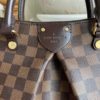 Louis Vuitton Damier Ebene Siena MM 10