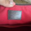 Louis Vuitton Damier Ebene Siena MM 17