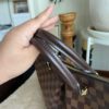 Louis Vuitton Damier Ebene Siena MM 28