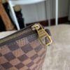 Louis Vuitton Damier Ebene Siena MM 21