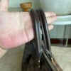 Louis Vuitton Damier Ebene Siena MM 24