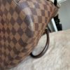 Louis Vuitton Damier Ebene Siena MM 19