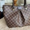 Louis Vuitton Damier Ebene Siena MM 15
