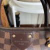 Louis Vuitton Damier Ebene Siena MM 22