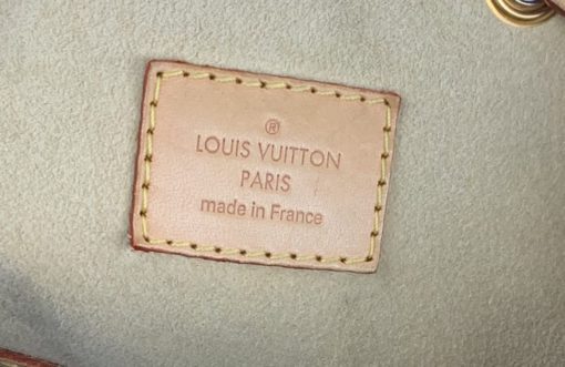 Louis Vuitton Neo Noe Monogram Hobo / Crossbody