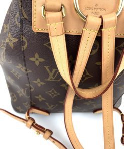 Louis Vuitton Monogram Montsouris NM Backpack