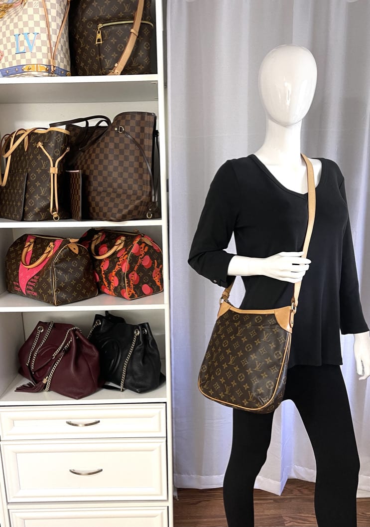  Zoomoni Premium Bag Organizer for Louis Vuitton Odeon Tote PM  (Handmade/20 Color Options/Zoomoni) : Handmade Products