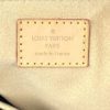 Louis Vuitton Limited Edition Monogram Stephen Bag 12