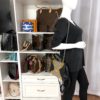 Gucci GG Supreme Monogram Osiride Top Handle Bag Black Gold 42