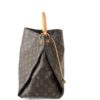 Louis Vuitton Monogram Artsy MM Hobo 16