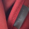 Louis Vuitton Damier Ebene Eva Crossbody 11