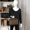 Louis Vuitton Damier Ebene Speedy Bandouliere 25 2