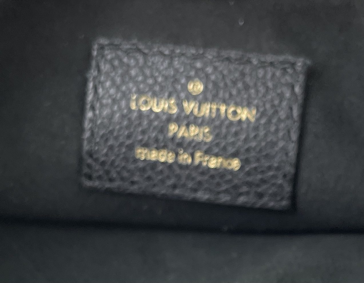 Louis Vuitton Monogram Empreinte Leather Neige Twice/Twinset Crossbody Bag  - ShopperBoard