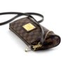 Louis Vuitton Damier Ebene Eva Crossbody Clutch 3