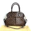 Louis Vuitton Damier Ebene Trevi PM 4