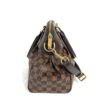 Louis Vuitton Damier Ebene Trevi PM 19