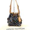 Louis Vuitton Black Multi Color Petit Noe 3
