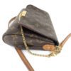 Louis Vuitton Favorite Monogram MM 15