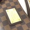 Louis Vuitton Ebene Sophie Crossbody 11