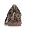 Louis Vuitton Damier Ebene Trevi PM 20