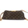 Louis Vuitton Favorite Monogram MM 22