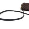 Louis Vuitton Damier Ebene Favorite MM Crossbody 21