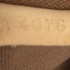 Louis Vuitton Monogram Odeon PM 5