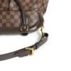 Louis Vuitton Damier Ebene Trevi PM 15