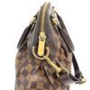 Louis Vuitton Damier Ebene Trevi PM 18