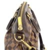 Louis Vuitton Damier Ebene Trevi PM 17
