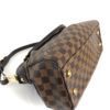 Louis Vuitton Damier Ebene Trevi PM 8