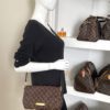 Louis Vuitton Damier Ebene Favorite MM Crossbody 3