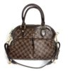 Louis Vuitton Damier Ebene Trevi PM 23