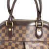 Louis Vuitton Damier Ebene Trevi PM 22