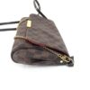 Louis Vuitton Damier Ebene Favorite MM Crossbody 30