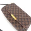 Louis Vuitton Damier Ebene Favorite MM Crossbody 17
