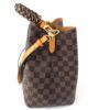Louis Vuitton Ebene Neo Noe Saffron 12