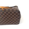 Louis Vuitton Ebene Neo Noe Saffron 19