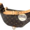 Louis Vuitton Monogram World Tour Bum Bag 19