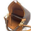 Louis Vuitton Ebene Neo Noe Saffron 22
