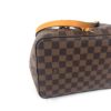 Louis Vuitton Ebene Neo Noe Saffron 16