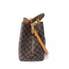 Louis Vuitton Ebene Neo Noe Saffron 10