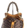 Louis Vuitton Ebene Neo Noe Saffron 8