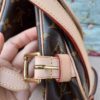 Louis Vuitton Monogram Saumur 30 Messenger 8