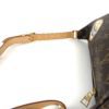 Louis Vuitton Monogram World Tour Bum Bag 24