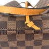 Louis Vuitton Ebene Neo Noe Saffron 20