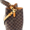 Louis Vuitton Ebene Neo Noe Saffron 13