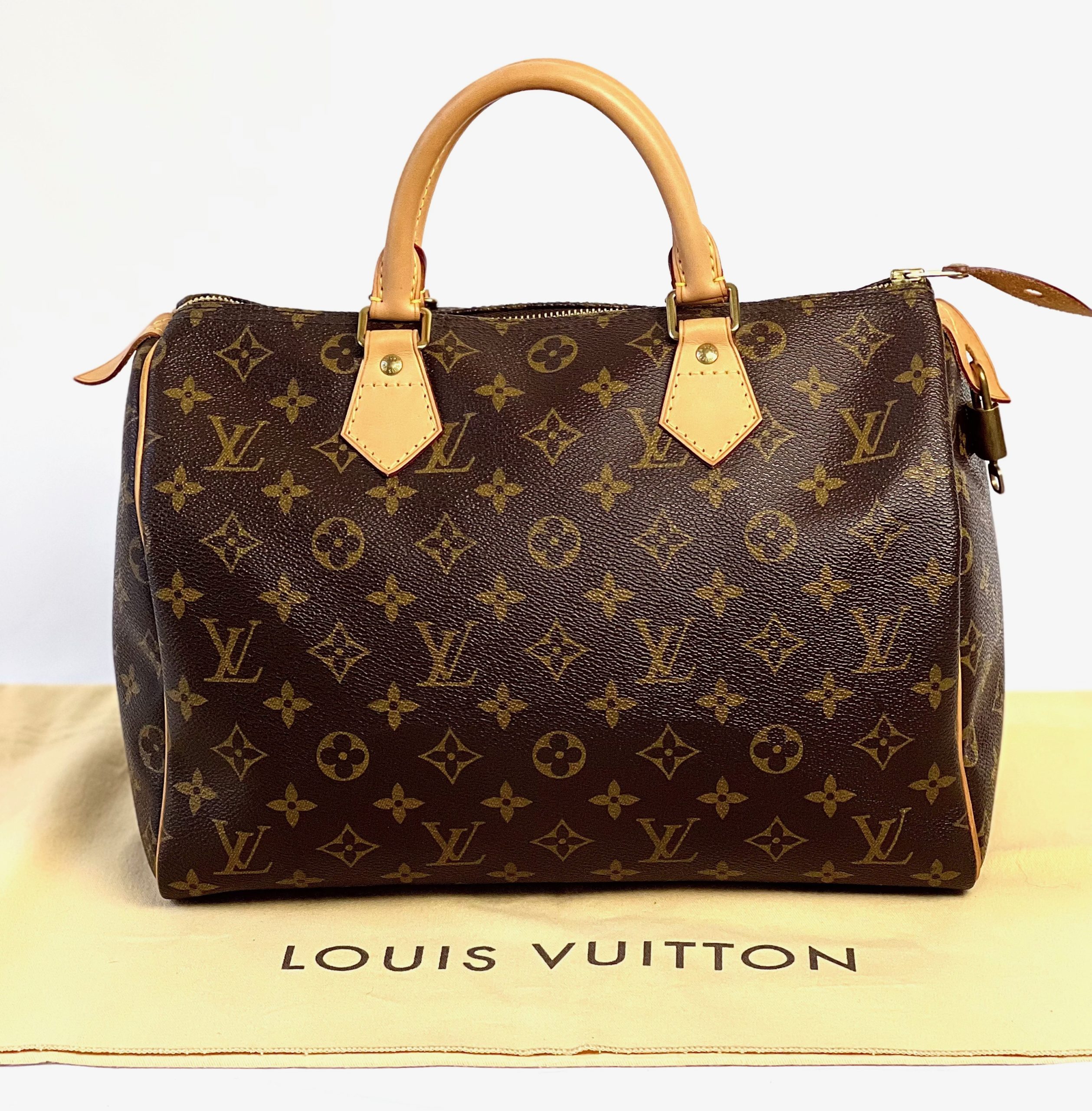 Louis Vuitton Monogram Speedy 30 Handbag - A World Of Goods For
