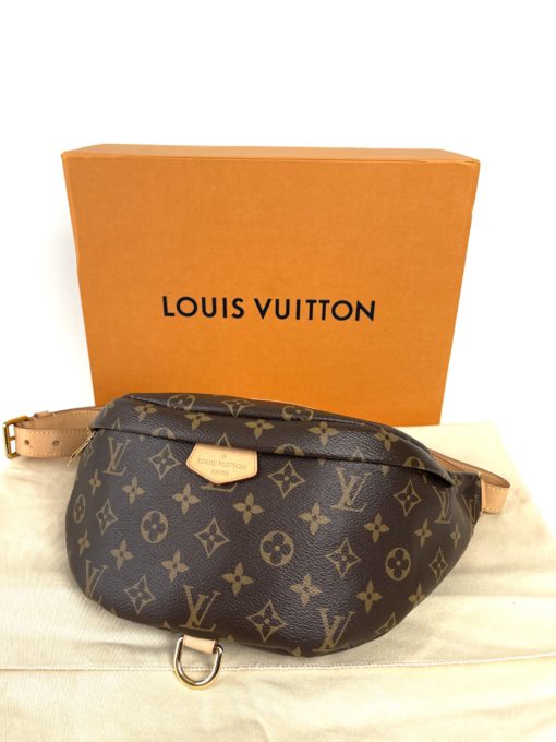 Louis Vuitton Monogram Bum Bag 13